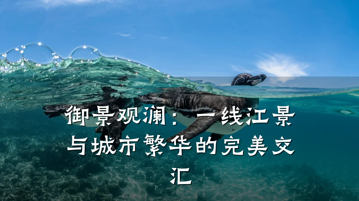 御景观澜:一线江景与城市繁华的完美交汇