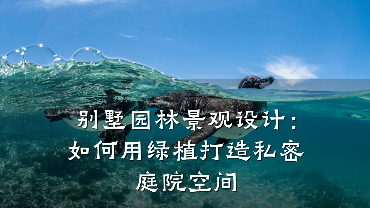 别墅园林景观设计:如何用绿植打造私密庭院空间