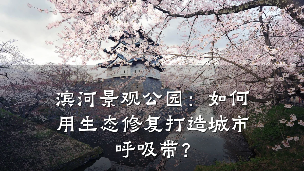 滨河景观公园:如何用生态修复打造城市呼吸带?