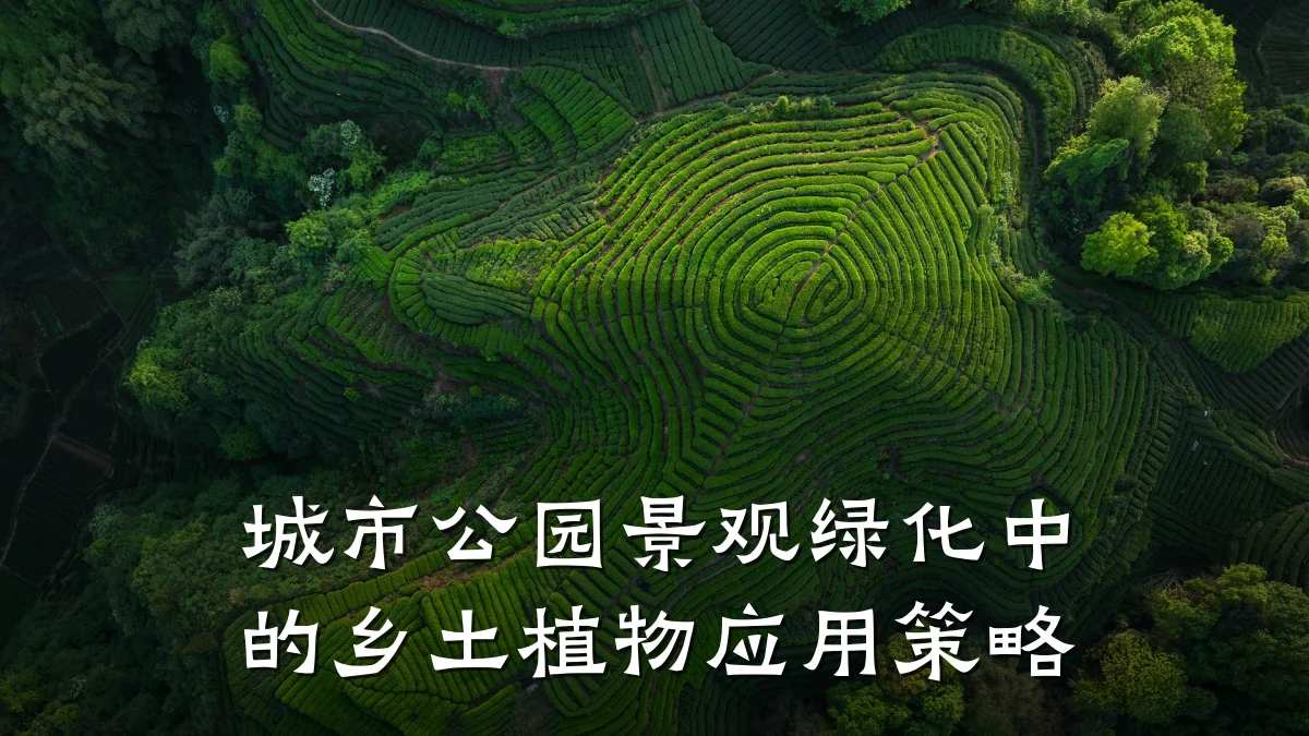 城市公园景观绿化中的乡土植物应用策略