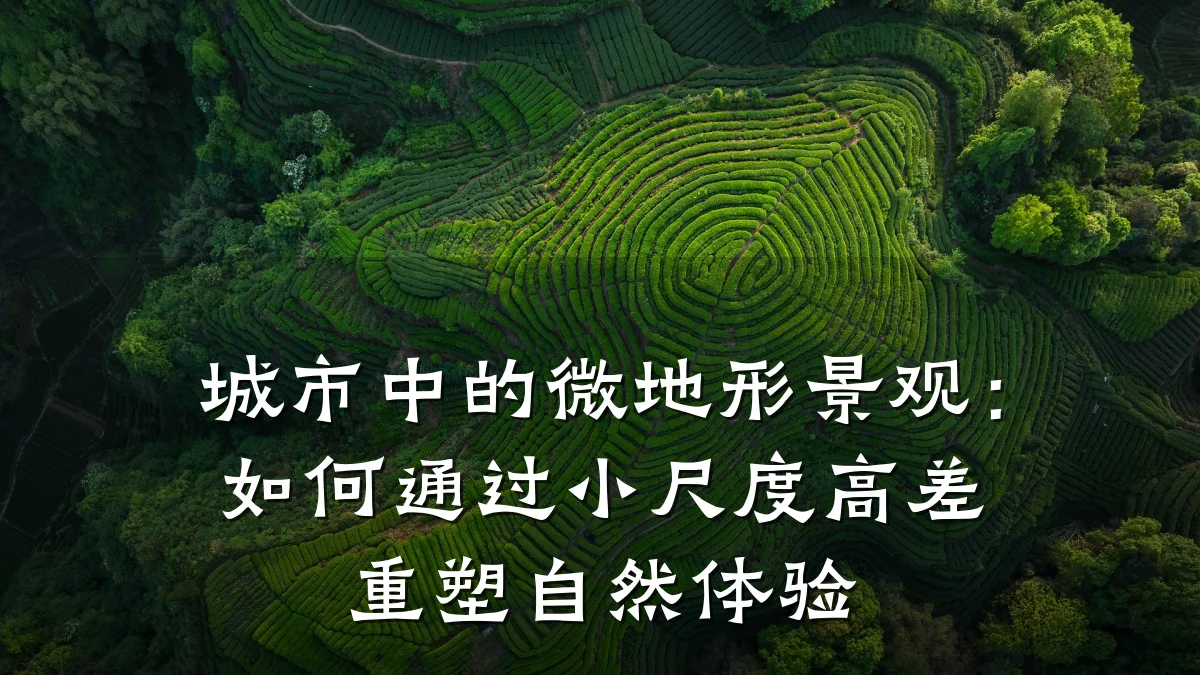 城市中的微地形景观:如何通过小尺度高差重塑自然体验