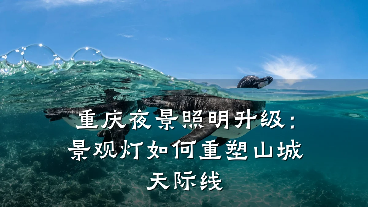重庆夜景照明升级:景观灯如何重塑山城天际线