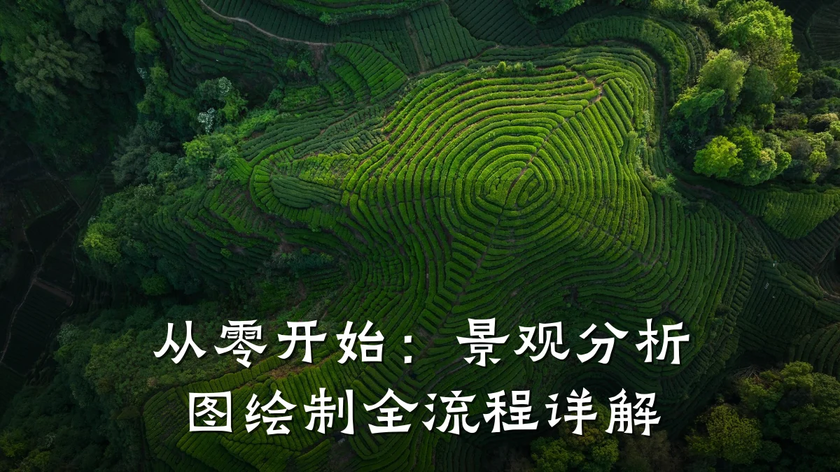 从零开始:景观分析图绘制全流程详解