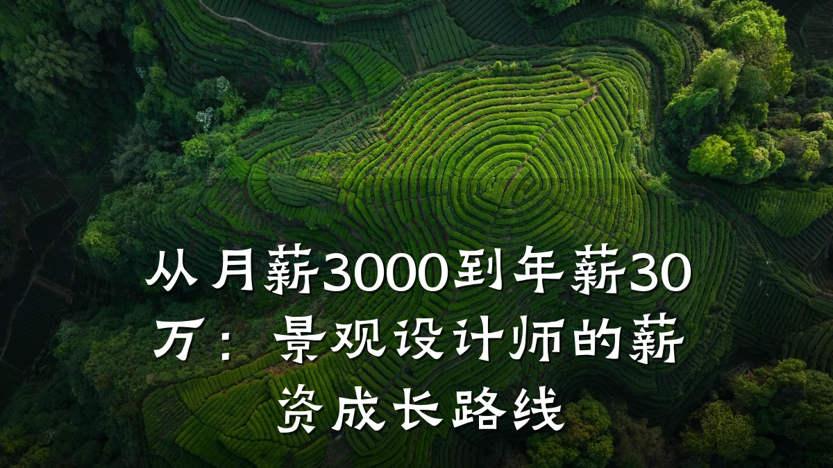 从月薪3000到年薪30万:景观设计师的薪资成长路线