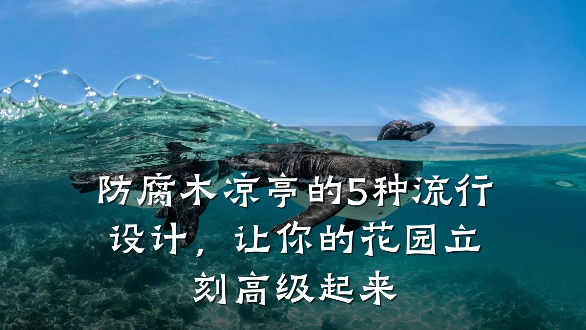 防腐木凉亭的5种流行设计,让你的花园立刻高级起来