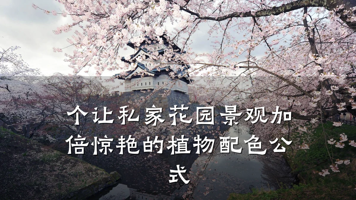 个让私家花园景观加倍惊艳的植物配色公式