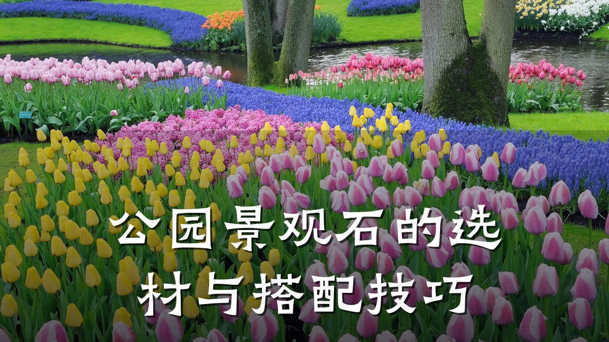 公园景观石的选材与搭配技巧