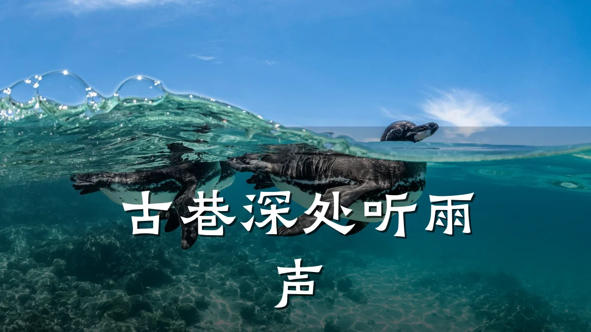 古巷深处听雨声