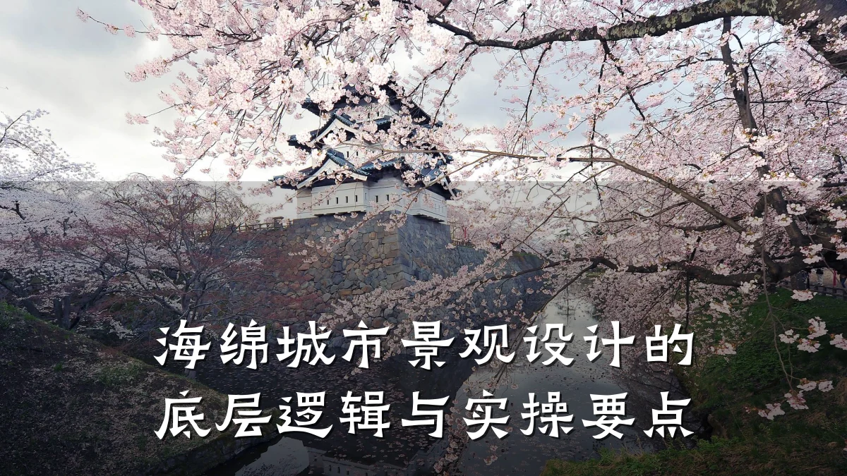海绵城市景观设计的底层逻辑与实操要点