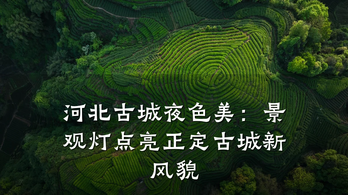 河北古城夜色美:景观灯点亮正定古城新风貌