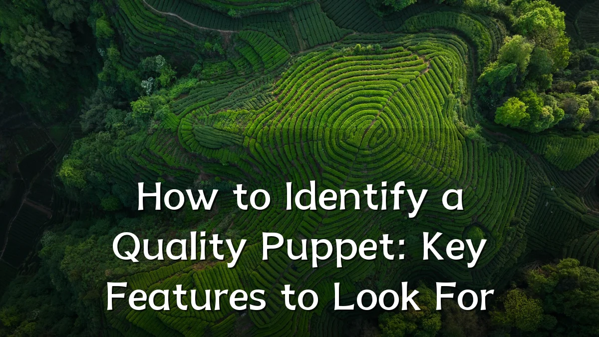 How to Identify a Quality Puppet: Key Features to Look For