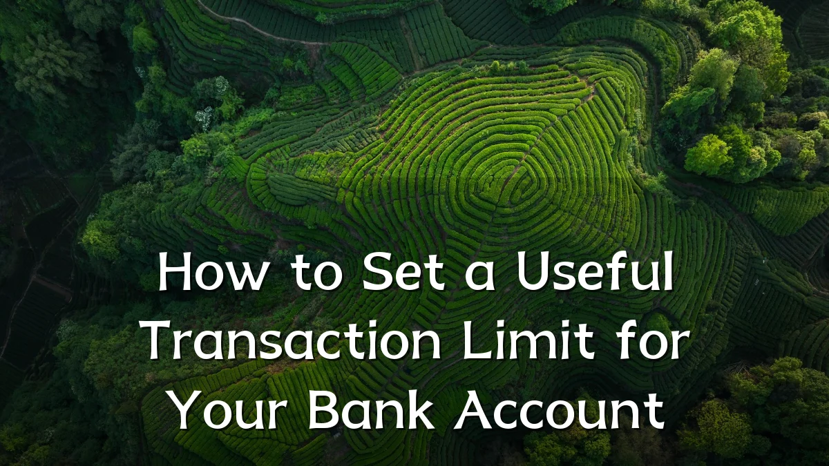 How to Set a Useful Transaction Limit for Your Bank Account