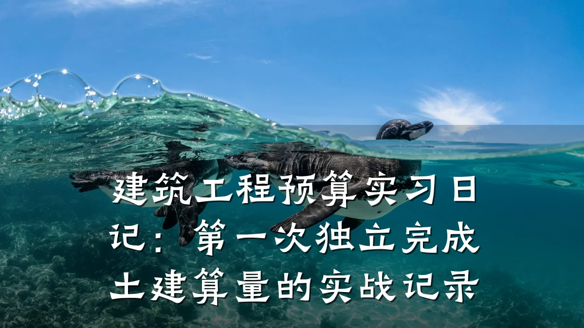 建筑工程预算实习日记:第一次独立完成土建算量的实战记录