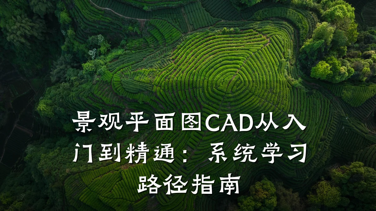 景观平面图CAD从入门到精通:系统学习路径指南