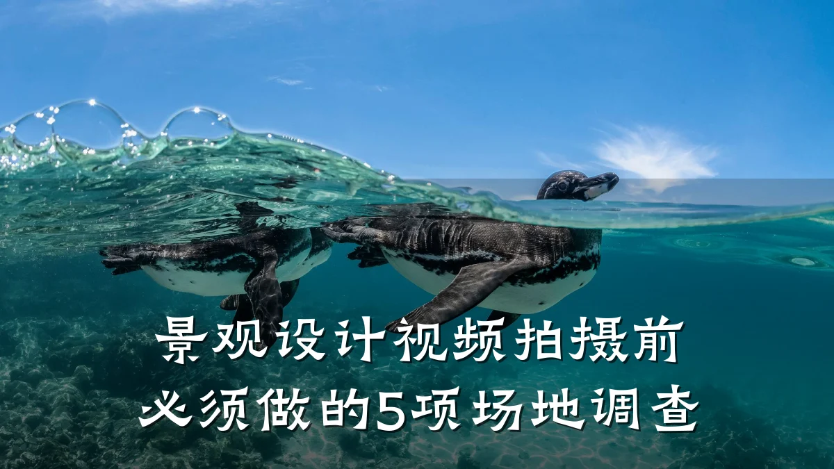 景观设计视频拍摄前必须做的5项场地调查