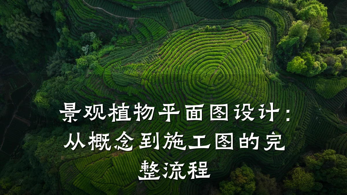 景观植物平面图设计:从概念到施工图的完整流程