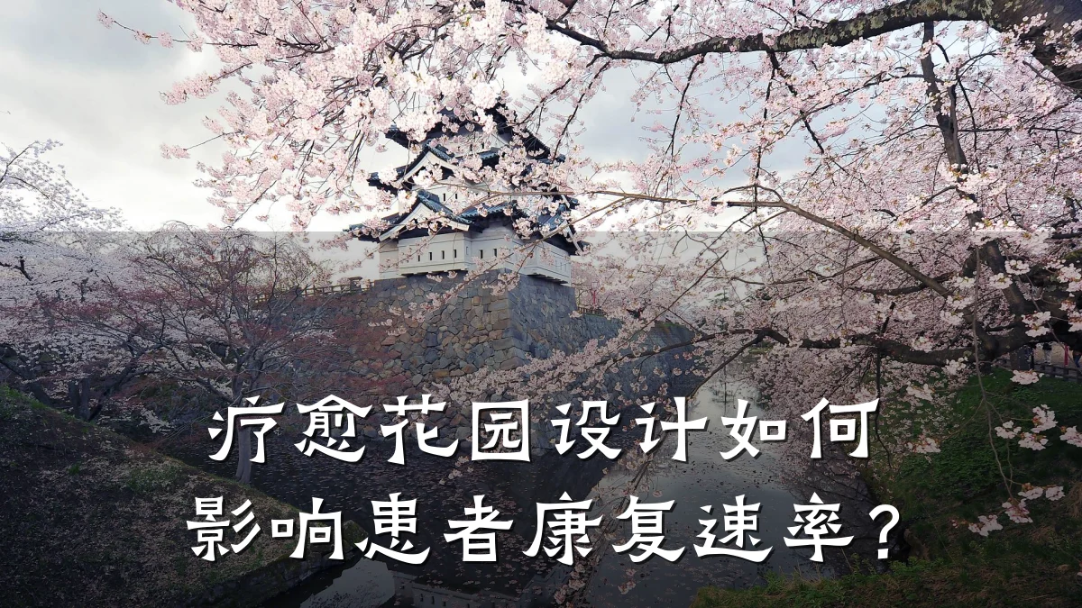 疗愈花园设计如何影响患者康复速率?