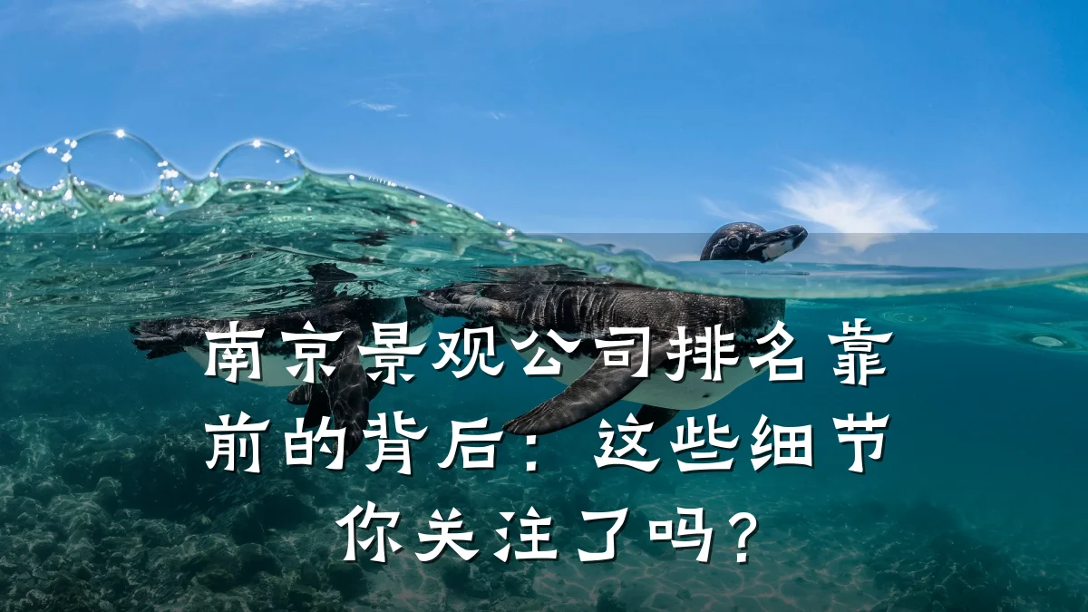 南京景观公司排名靠前的背后:这些细节你关注了吗?