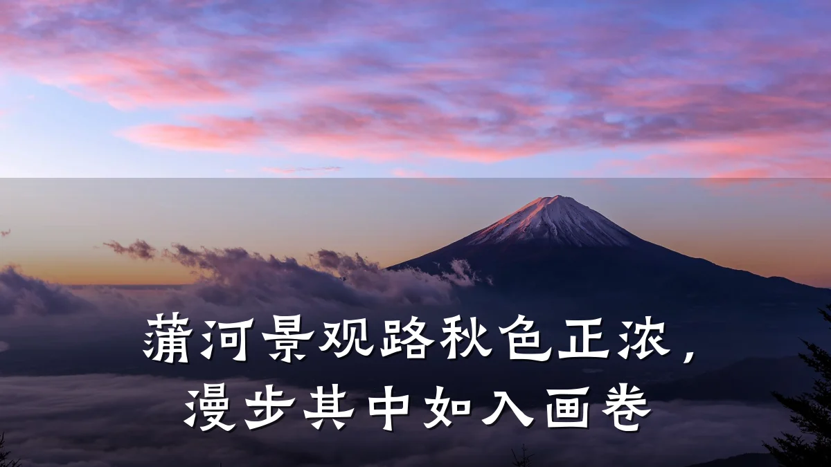 蒲河景观路秋色正浓,漫步其中如入画卷