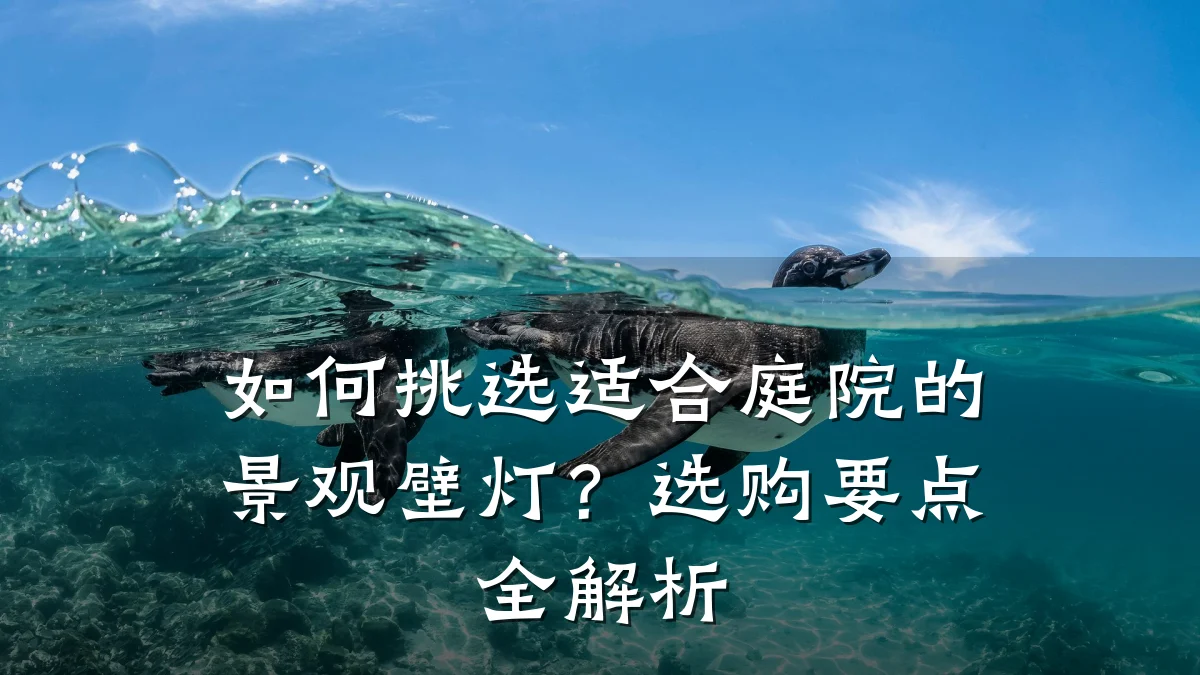 如何挑选适合庭院的景观壁灯？选购要点全解析