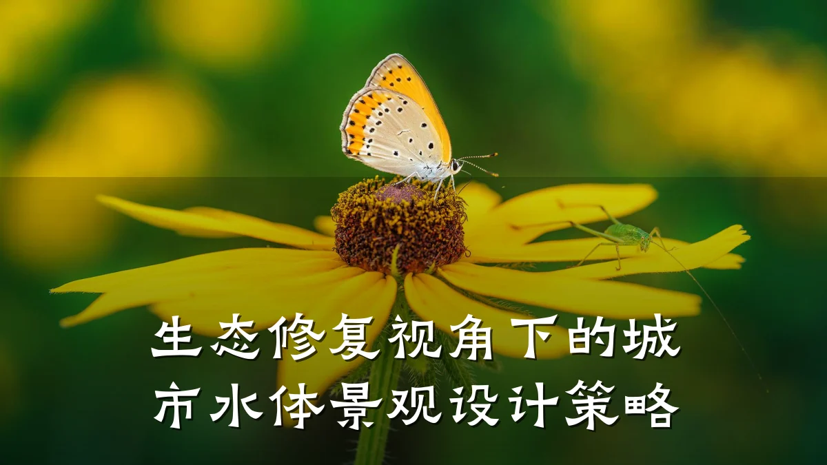 生态修复视角下的城市水体景观设计策略