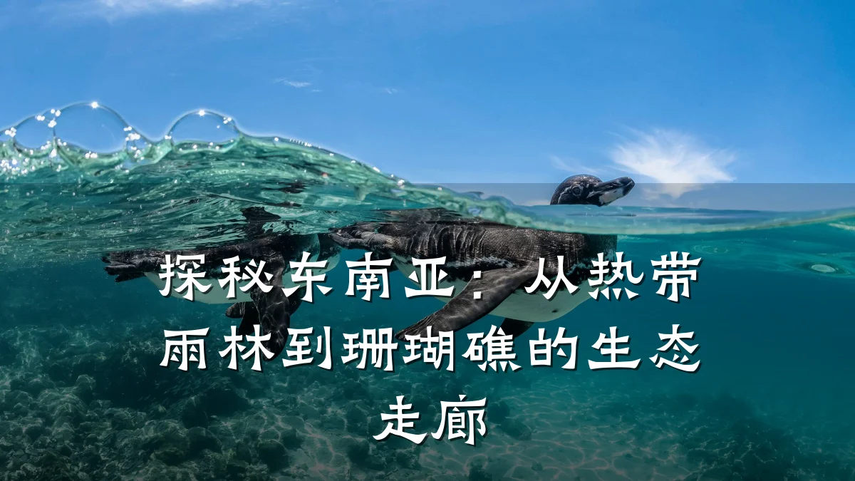 探秘东南亚:从热带雨林到珊瑚礁的生态走廊