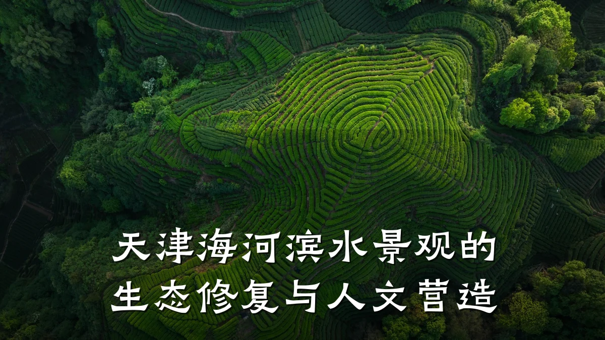 天津海河滨水景观的生态修复与人文营造
