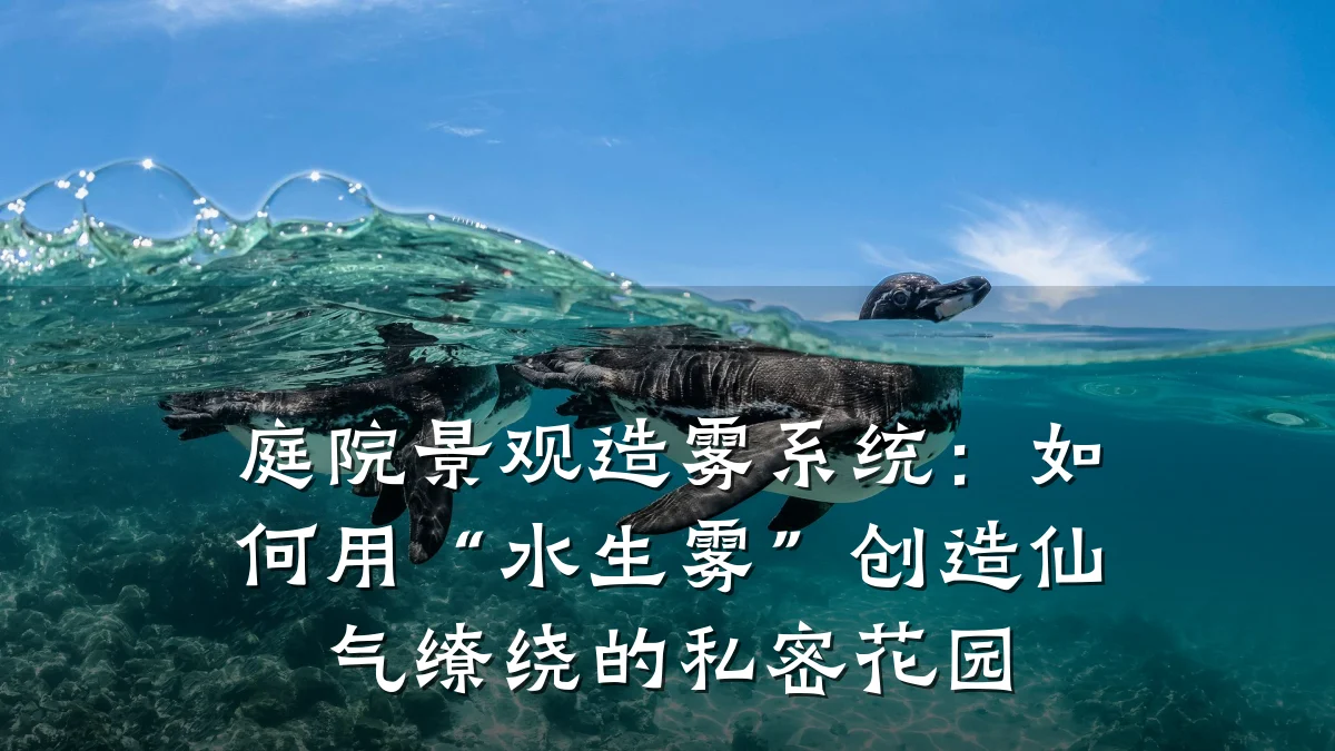 庭院景观造雾系统：如何用“水生雾”创造仙气缭绕的私密花园