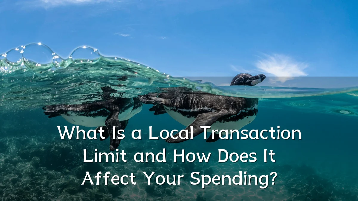 What Is a Local Transaction Limit and How Does It Affect Your Spending?
