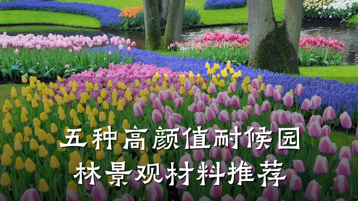 五种高颜值耐候园林景观材料推荐