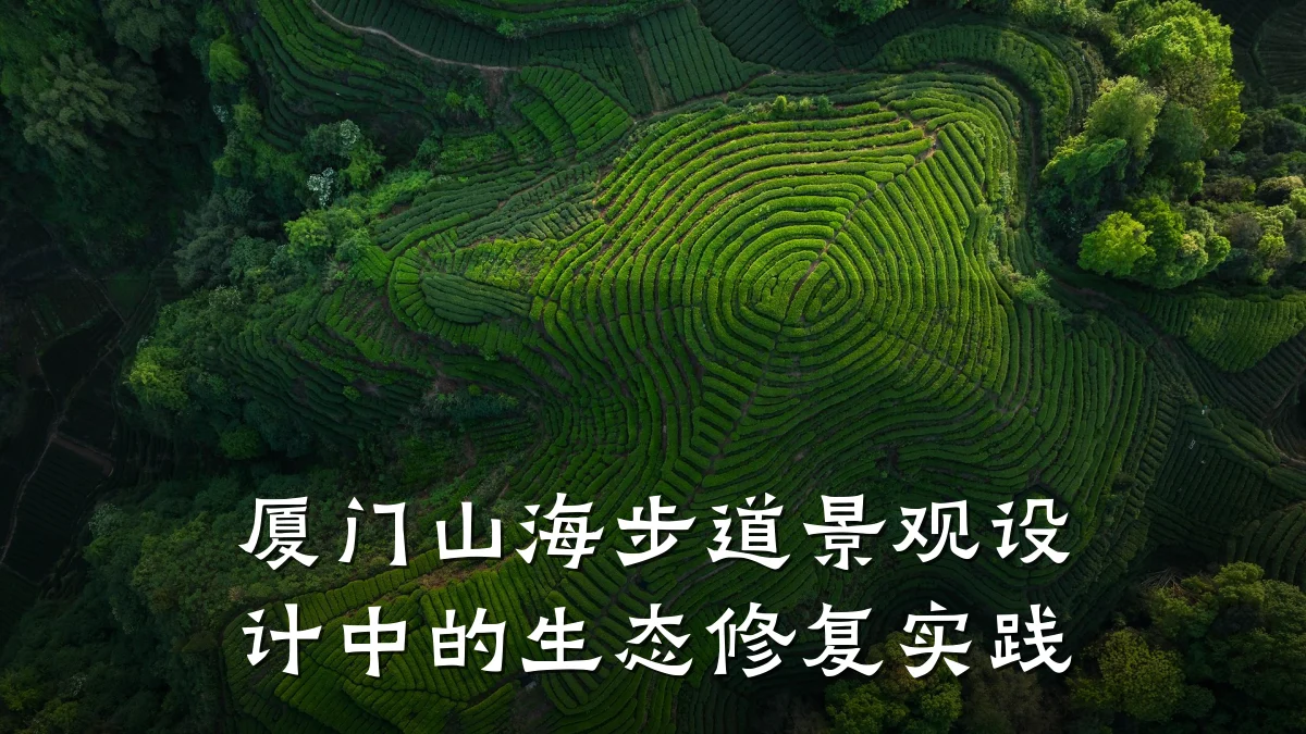厦门山海步道景观设计中的生态修复实践