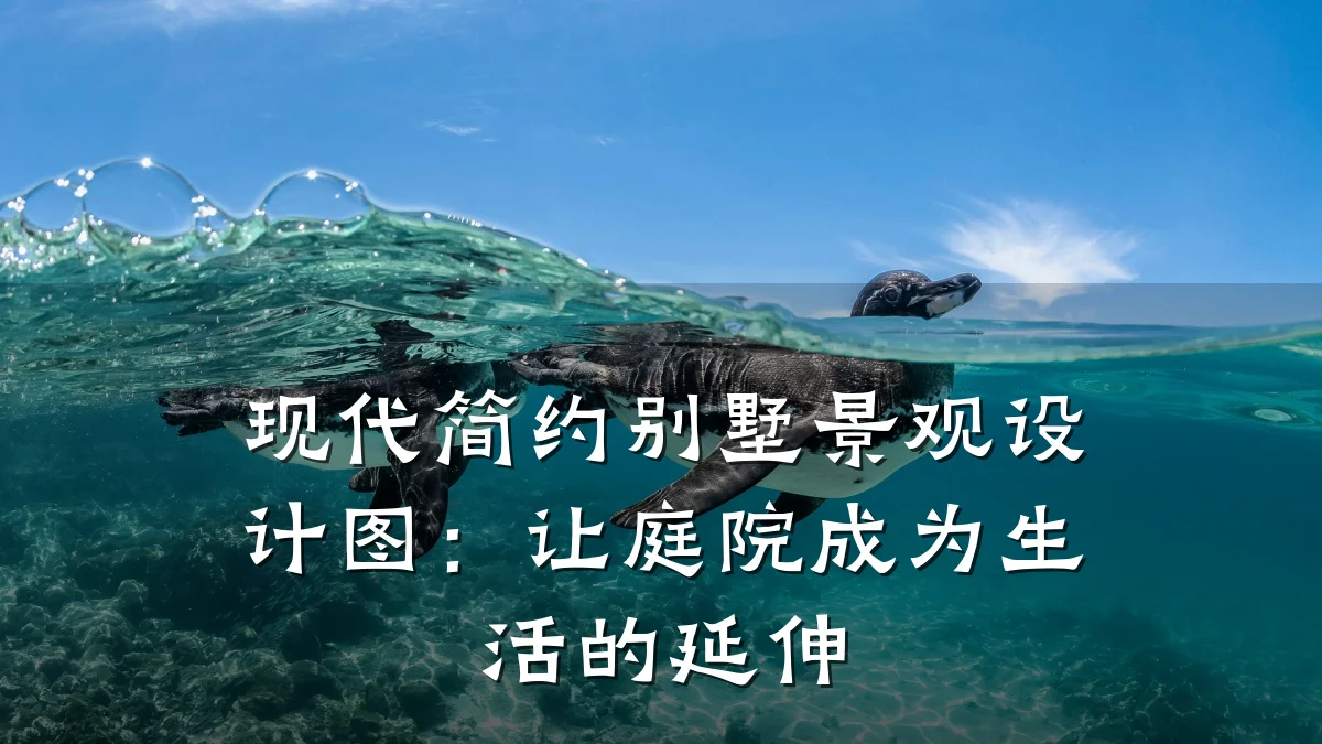 现代简约别墅景观设计图:让庭院成为生活的延伸