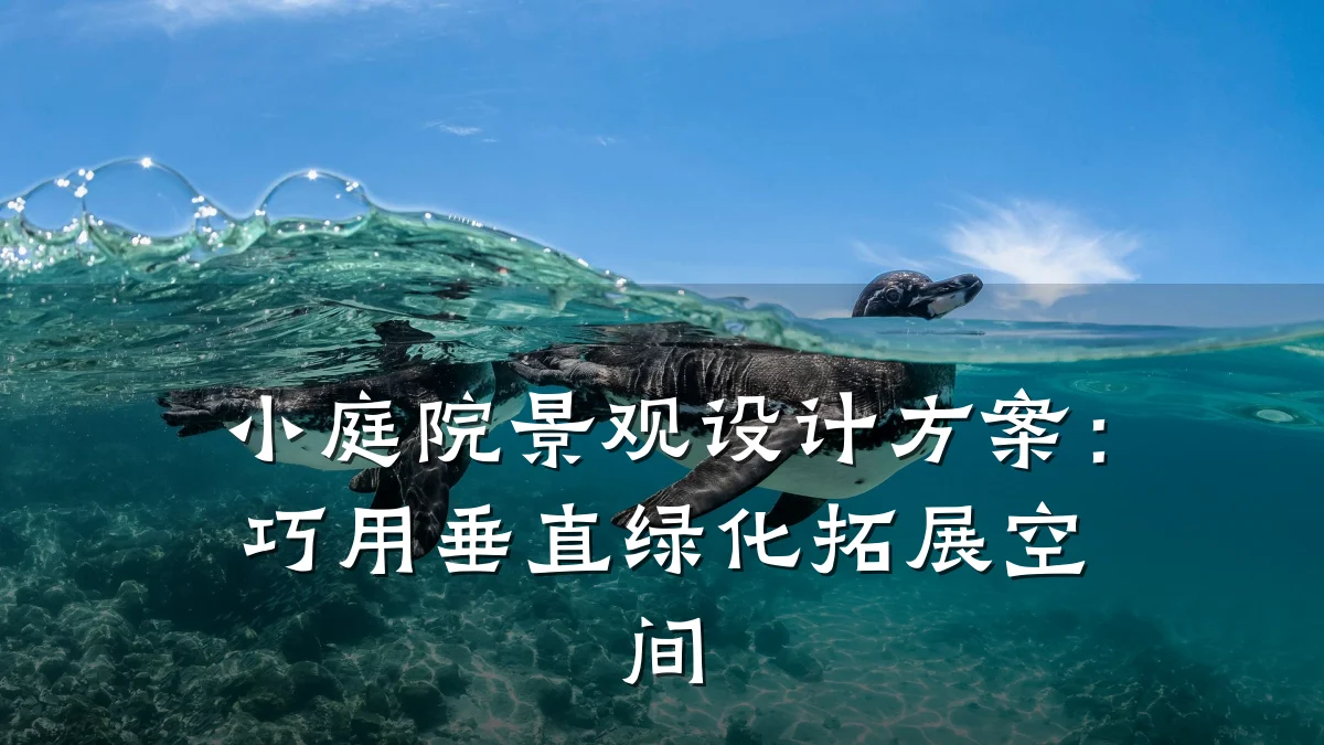 小庭院景观设计方案:巧用垂直绿化拓展空间