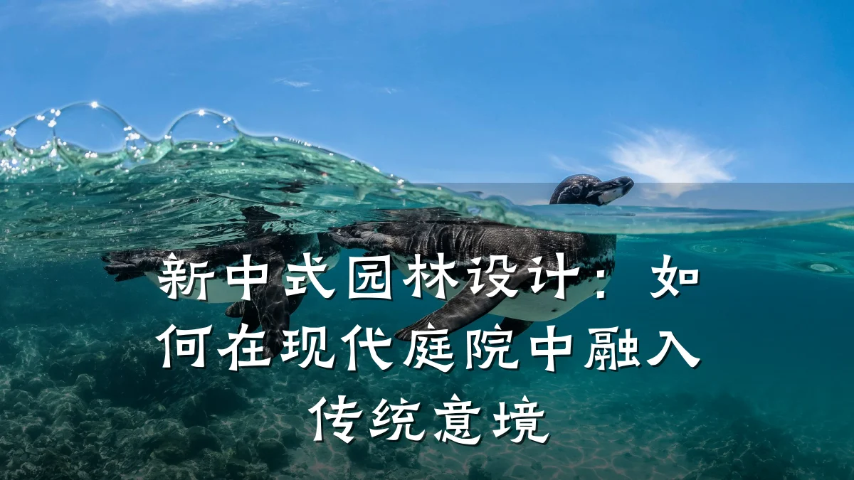 新中式园林设计:如何在现代庭院中融入传统意境