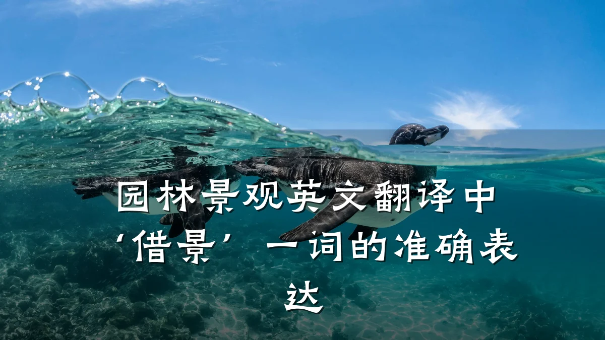 园林景观英文翻译中‘借景’一词的准确表达