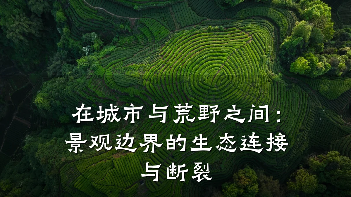 在城市与荒野之间:景观边界的生态连接与断裂