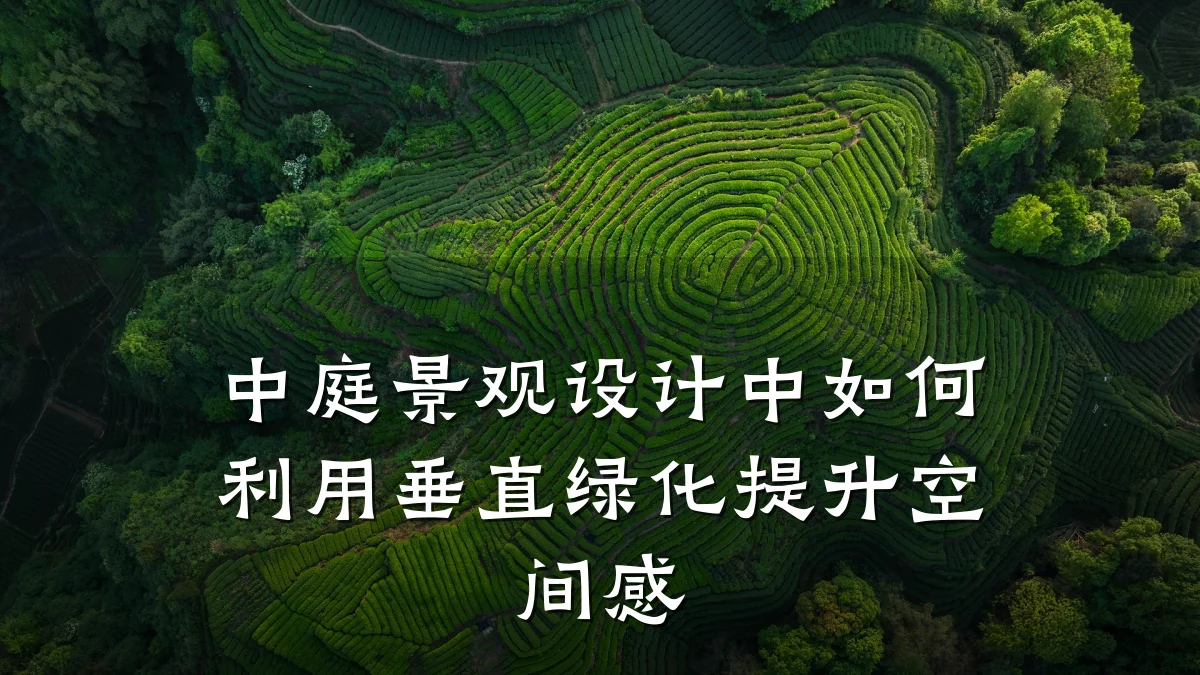中庭景观设计中如何利用垂直绿化提升空间感