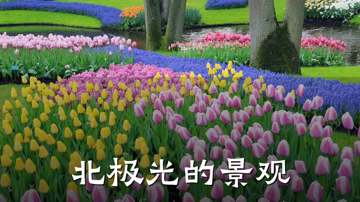 北极光的景观