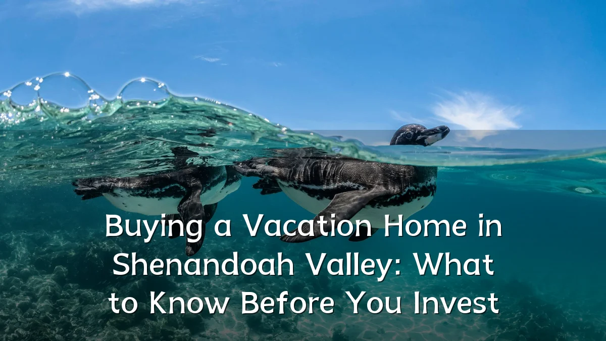 Buying a Vacation Home in Shenandoah Valley: What to Know Before You Invest