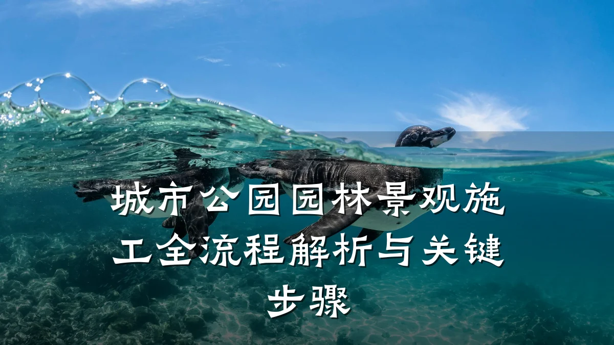 城市公园园林景观施工全流程解析与关键步骤