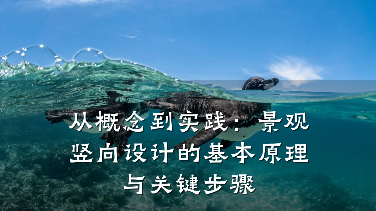 从概念到实践：景观竖向设计的基本原理与关键步骤