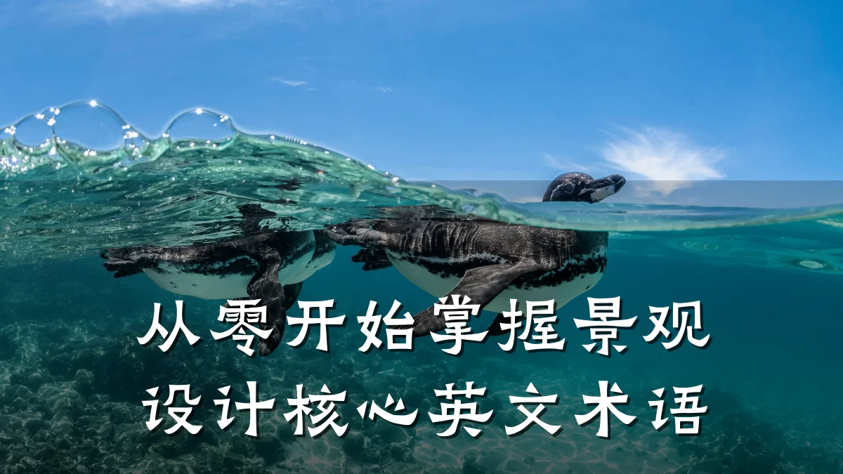 从零开始掌握景观设计核心英文术语