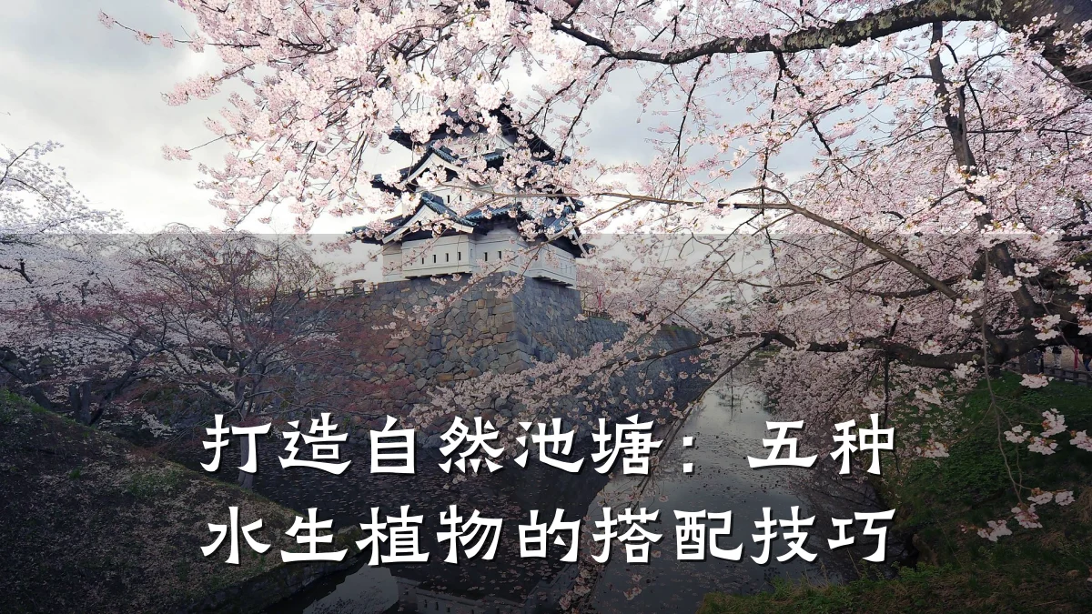 打造自然池塘：五种水生植物的搭配技巧
