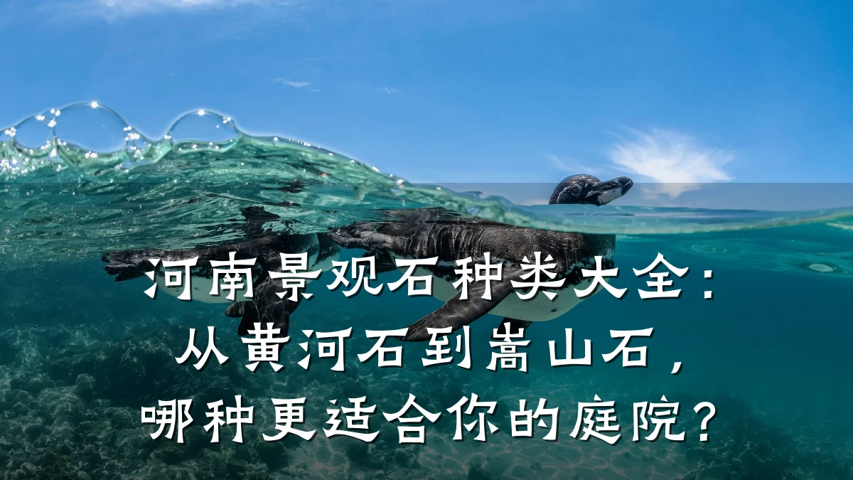 河南景观石种类大全:从黄河石到嵩山石,哪种更适合你的庭院?
