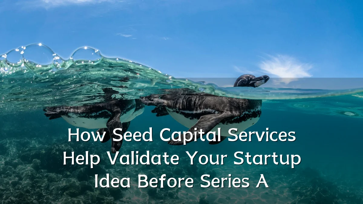 How Seed Capital Services Help Validate Your Startup Idea Before Series A