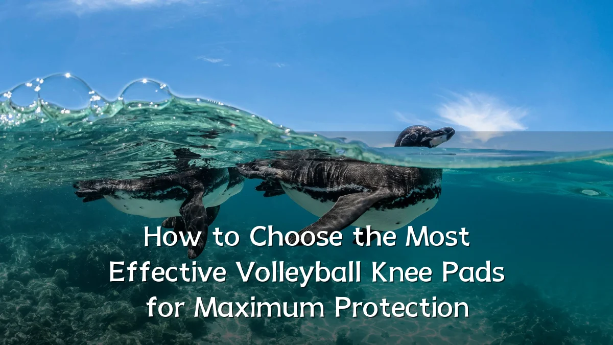 How to Choose the Most Effective Volleyball Knee Pads for Maximum Protection