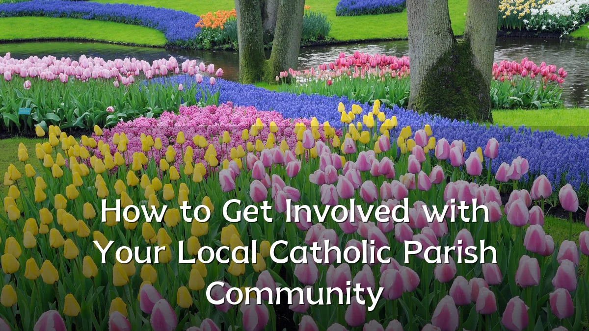 How to Get Involved with Your Local Catholic Parish Community