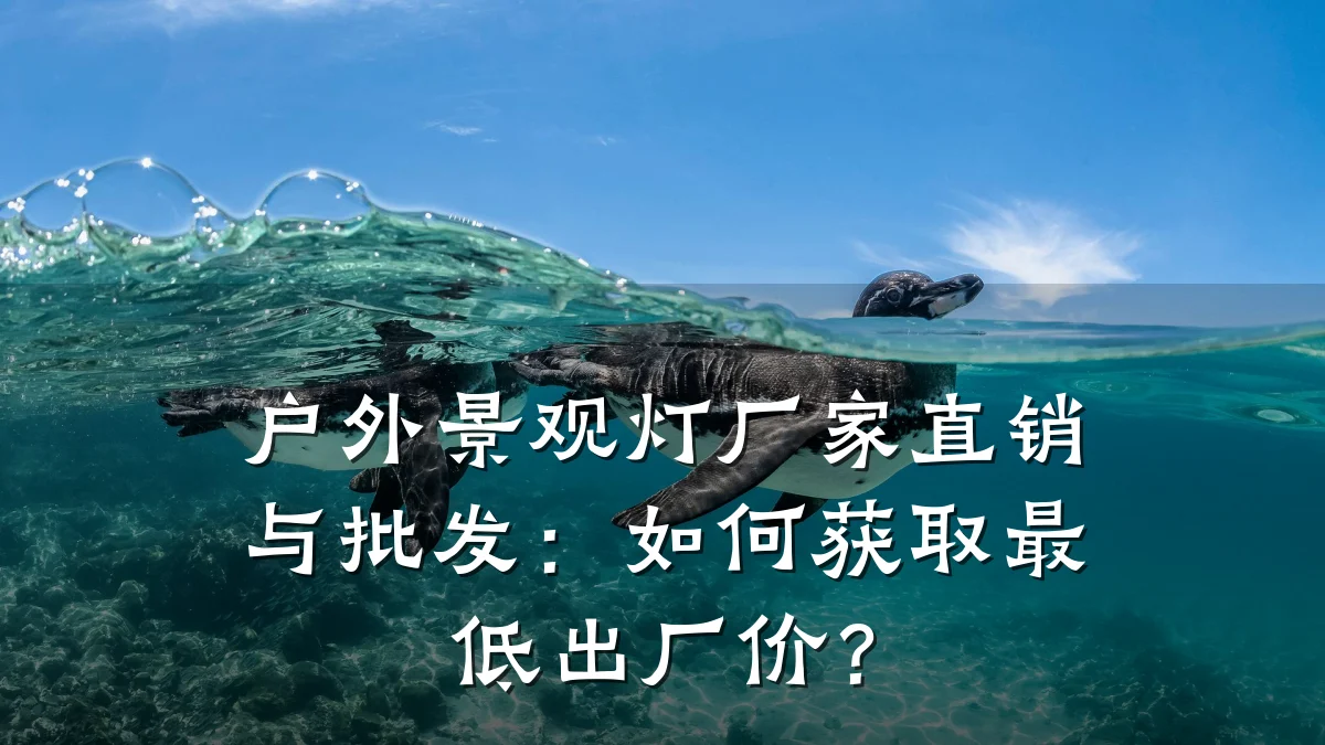 户外景观灯厂家直销与批发:如何获取最低出厂价?