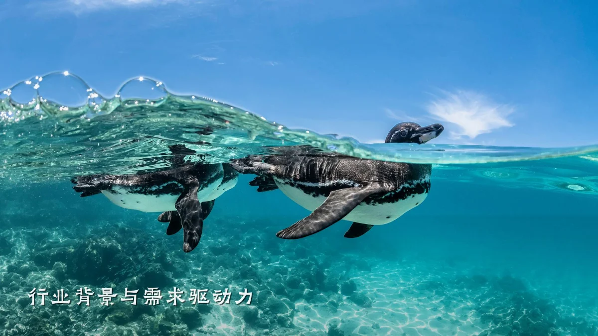 行业背景与需求驱动力