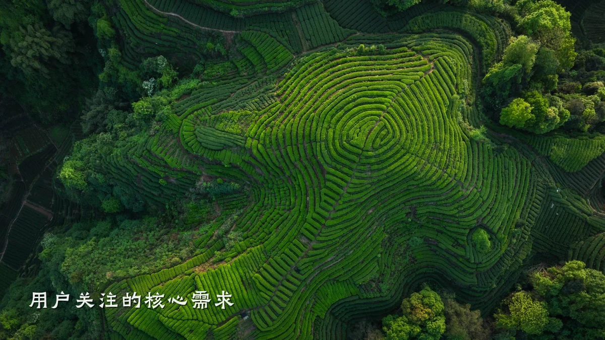 用户关注的核心需求
